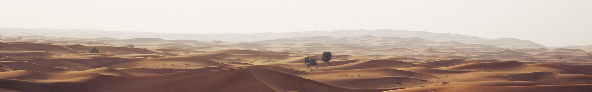 ɽ³еƼ޹˾
